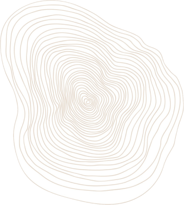 about image bg shape