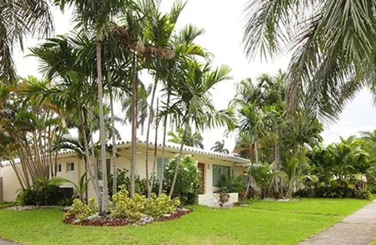 Read more about the article 5 Types of Palm Trees for Florida Landscapes