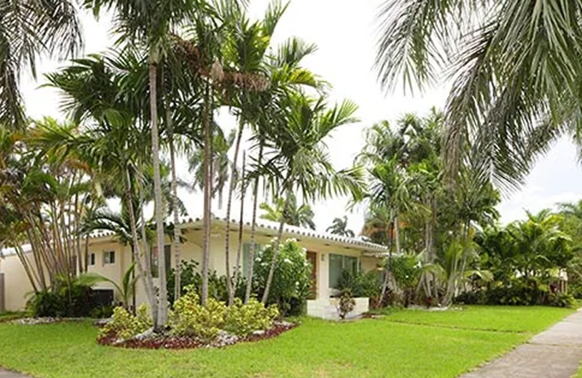 You are currently viewing 5 Types of Palm Trees for Florida Landscapes