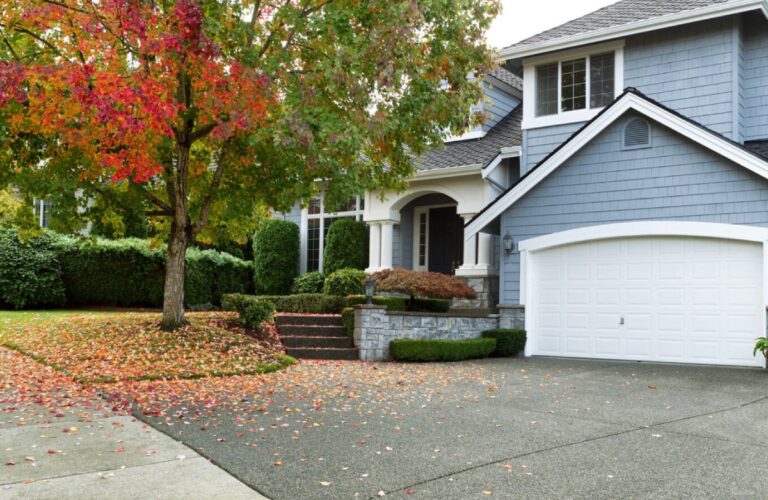 Read more about the article Enhance Your Property With Summer Tree Care