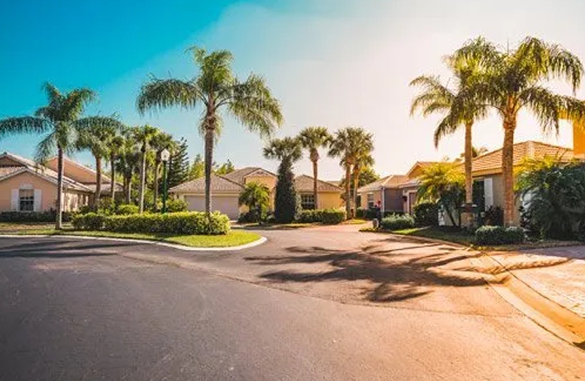 You are currently viewing 4 Tips to Successfully Grow Palm Trees in North Florida