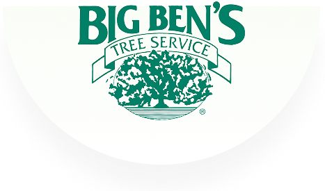 big ben logo